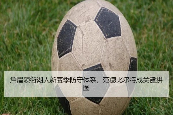詹眉领衔湖人新赛季防守体系，范德比尔特成关键拼图